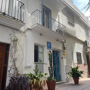The Monkey 2*, Marbella Spagna
